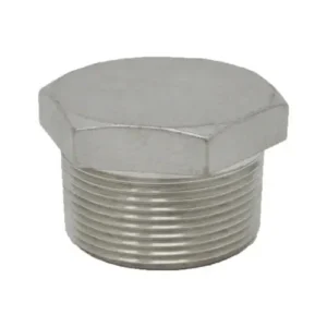 ปลั๊กอุด (Hex Plug)